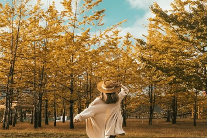 腾冲腾冲旅游攻略(腾冲旅游攻略详细)