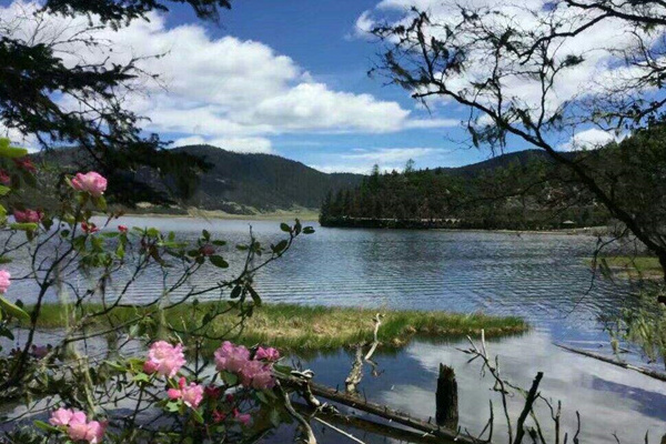 腾冲旅游攻略腾冲美食(腾冲旅游攻略必去景点介绍)