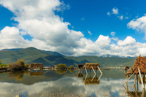旅游去西双版纳费用(旅游去西双版纳费用多少)