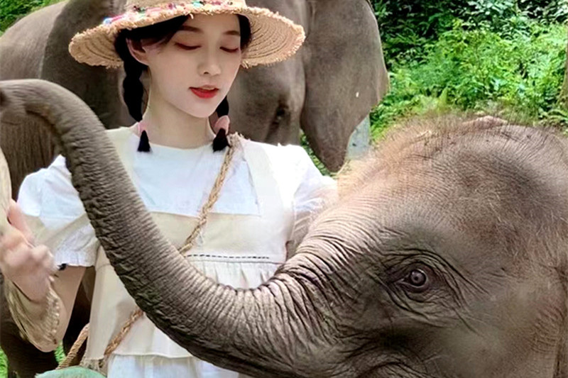姐妹旅游西双版纳文案(姐妹旅游西双版纳文案短句)
