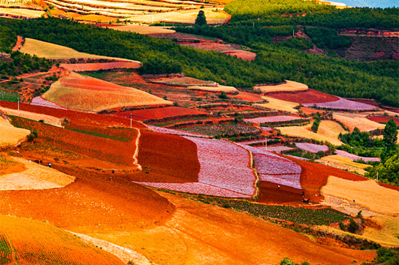 腾冲旅游攻略 腾冲好玩吗(腾冲旅游攻略必去景点介绍)