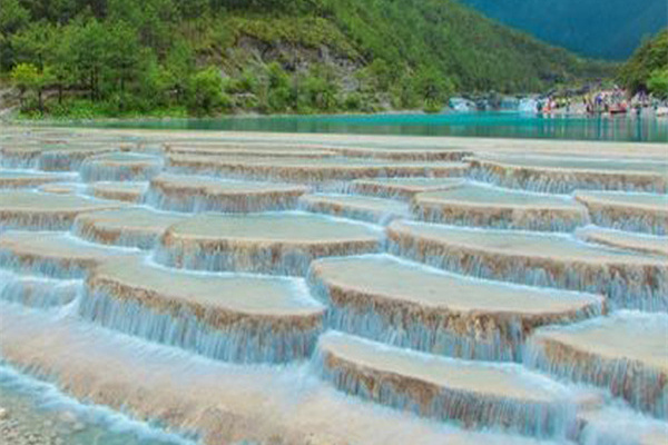 西双版纳旅行社旅游(西双版纳旅行社旅游报价表)