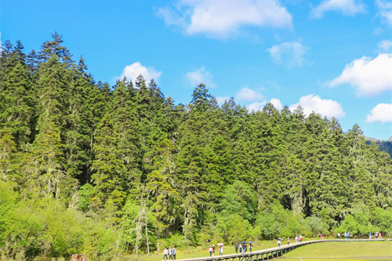 西双版纳做旅游行业(西双版纳旅游产业)
