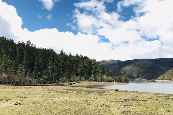 云南旅游资源(云南旅游资源概况)