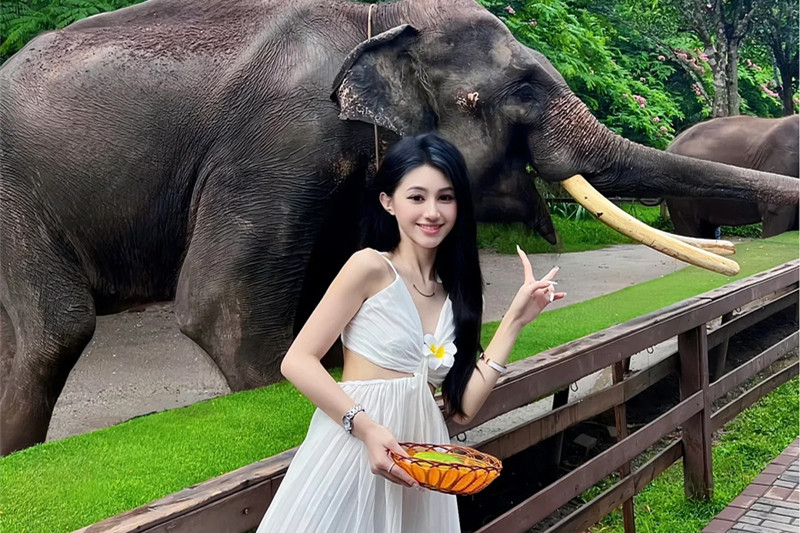 参团云南旅游(参团云南旅游价格)