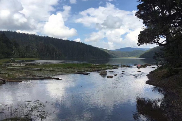西双版纳自助游旅游(西双版纳自助游旅游攻略)