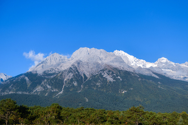 西双版纳5天旅游费用(西双版纳旅游6天大概费用)
