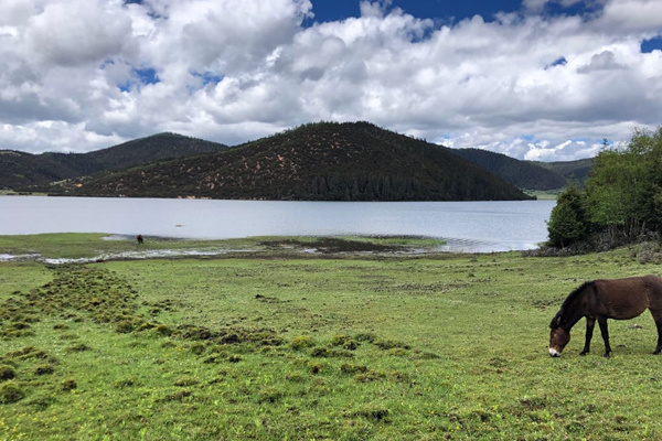 丽江有哪些旅游景点(丽江有哪些旅游景点值得去)