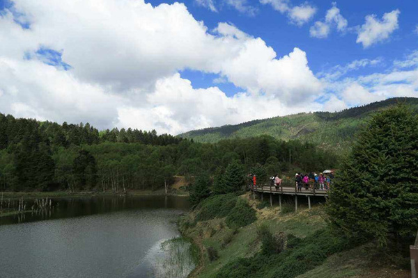 昆明到大理丽江旅游(昆明到大理丽江旅游团)