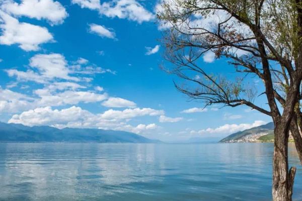 香格里拉花海旅游攻略(香格里拉花海简介)