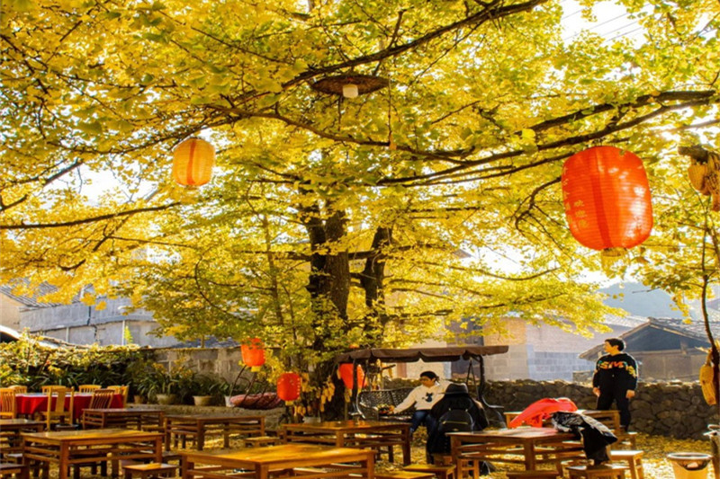 昆明旅游3月份(昆明旅游3月份攻略)