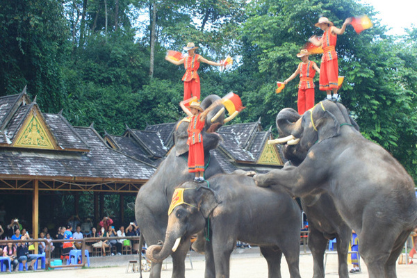 河南到西双版纳旅游多少钱(河南到西双版纳旅游多少钱一张票)