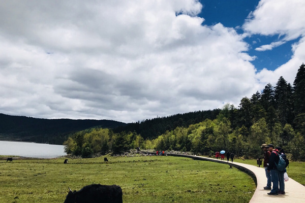 丽江旅游必去的地方(丽江旅游必去的地方有哪些地方)