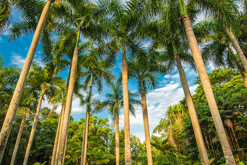 云南旅游昆明旅游(云南旅游昆明旅游景点)
