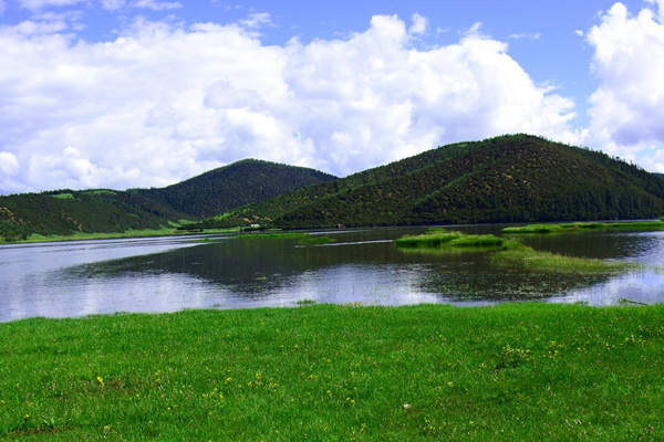 云南旅游年卡(云南旅游年卡一卡通景点)