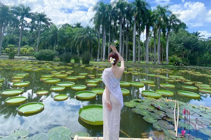 个人去丽江旅游(个人去丽江旅游攻略)