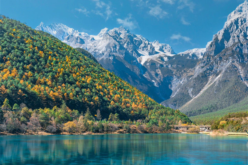 西双版纳一个人旅游多少钱啊(西双版纳旅游一个人要多少钱)