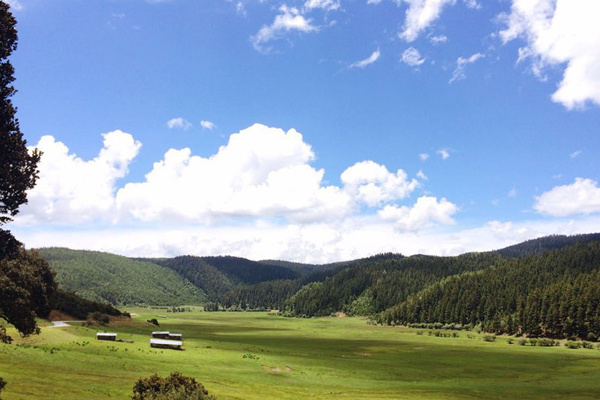 西双版纳自助游攻略旅游(西双版纳 自助游 攻略)