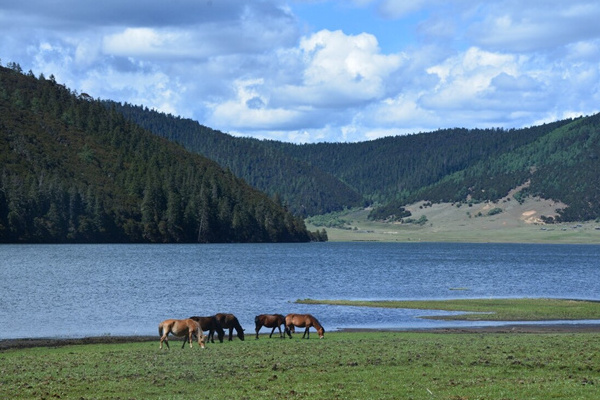 西双版纳旅游攻略浙江(西双版纳旅游攻略必去景点多少钱)