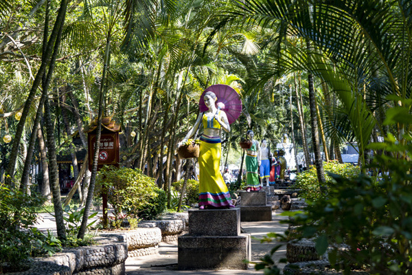 宜宾到丽江旅游(宜宾到丽江旅游攻略)