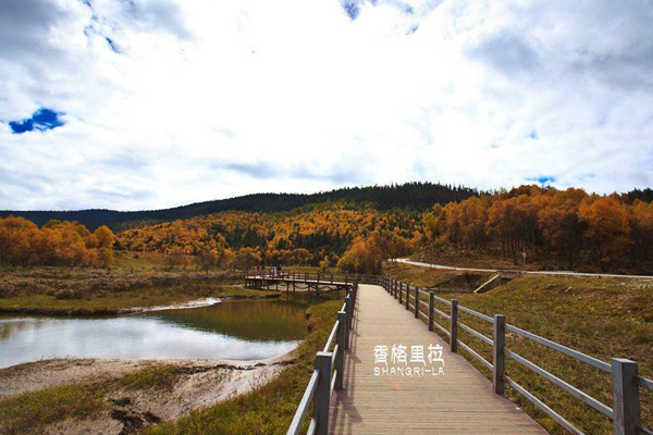 春节旅游腾冲攻略(春节旅游腾冲攻略大全)