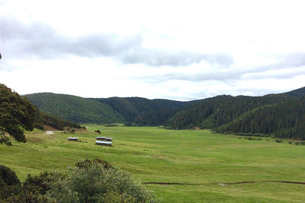 上海 西双版纳旅游(西双版纳 旅行)