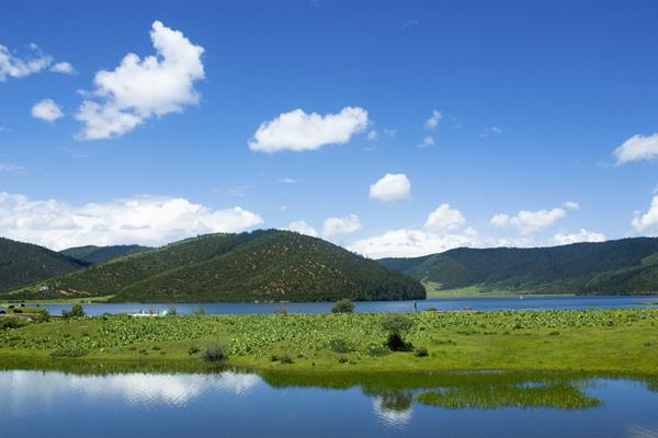 西双版纳   上海旅游(西双版纳的旅游团)
