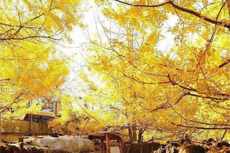 腾冲机场攻略旅游(腾冲机场攻略旅游路线)