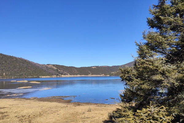 西双版纳自助旅游(西双版纳自助旅游攻略)