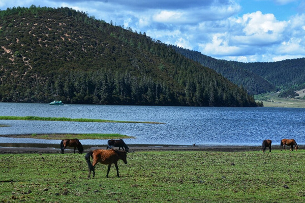 去云南丽江旅游要花多少钱