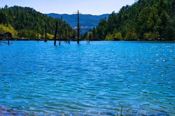 丽江旅游风景(丽江旅游风景区)