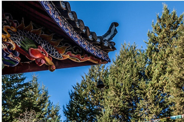 腾冲旅游复苏攻略(腾冲旅游复苏攻略最新)