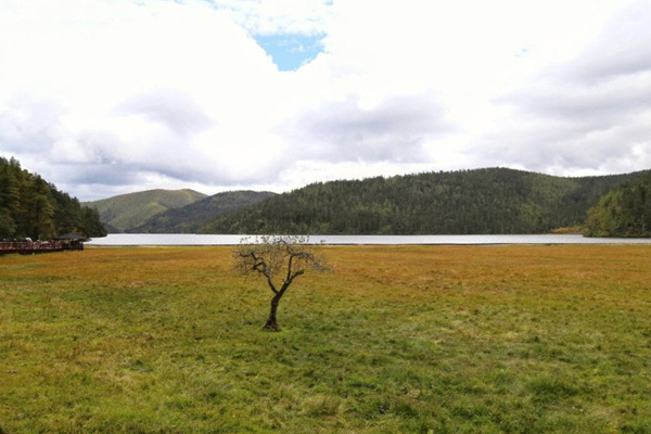 丽江旅游画册(丽江旅游画册模板)