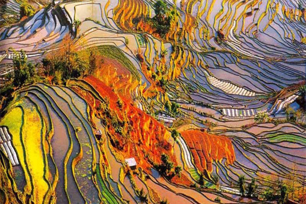 武汉去丽江旅游(武汉去丽江旅游攻略)