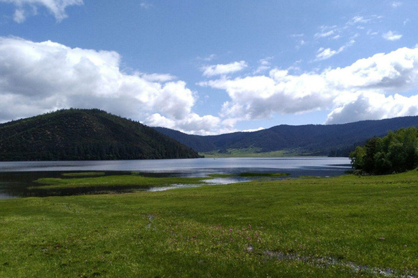大理到丽江旅游(大理到丽江旅游专列)