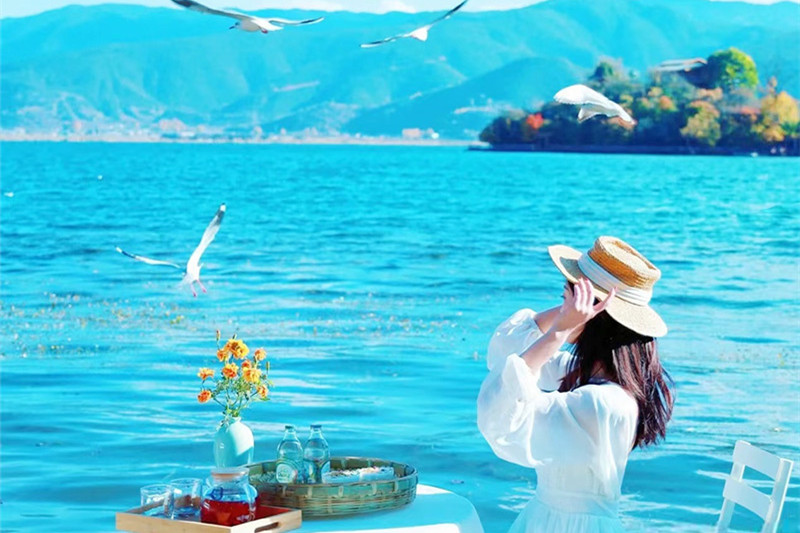 沈阳云南旅游(沈阳云南旅游跟团报价)