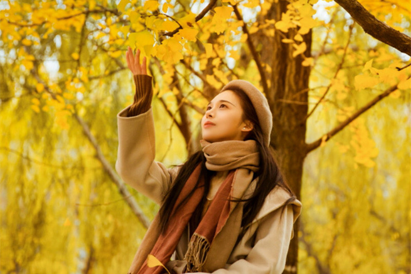 春秋西双版纳旅游(一座城两季春秋都在记录你与西双版纳的故事)