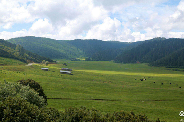 蚌埠到丽江旅游(蚌埠到丽江旅游团大概多少)