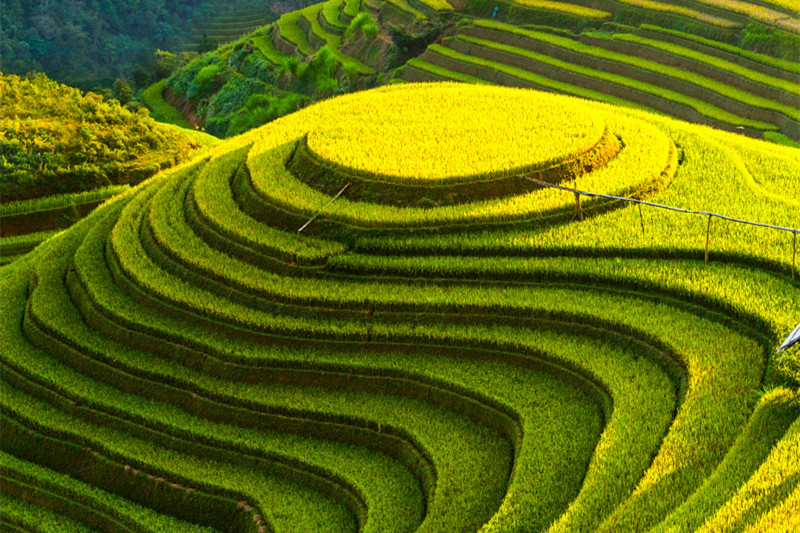 近期腾冲旅游攻略(近期腾冲旅游攻略大全)