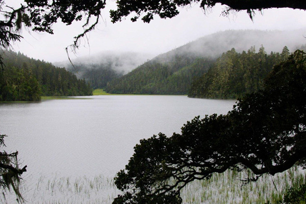 丽江自助旅游费用(丽江自助旅游费用多少)