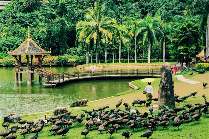 贵阳至丽江旅游(贵阳至丽江旅游攻略)