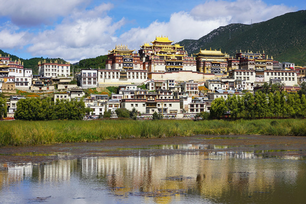 到西双版纳旅游团(到西双版纳旅游团多少钱)