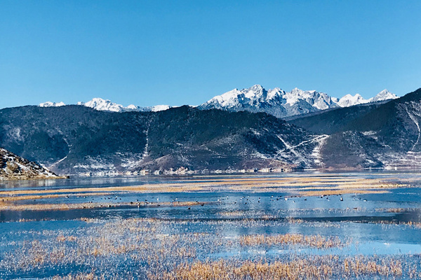 西双版纳旅游产业(西双版纳旅游产业发展趋势)