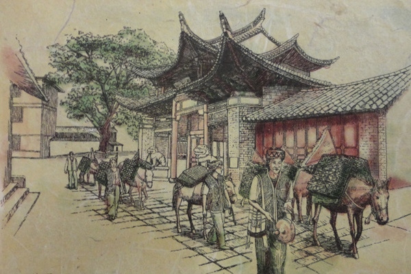 广州去香格里拉旅游攻略(广州去香格里拉旅游攻略路线)