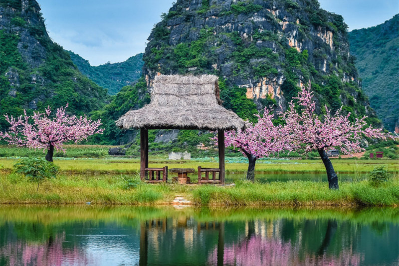 杭州到西双版纳旅游(杭州到西双版纳旅游团报价)