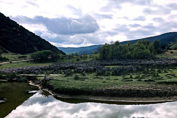 深圳西双版纳旅游(深圳西双版纳旅游价格费用)