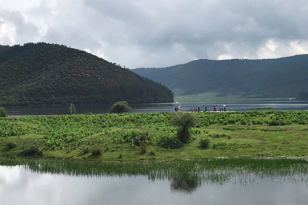 西双版纳旅游垄断(西双版纳旅游业)