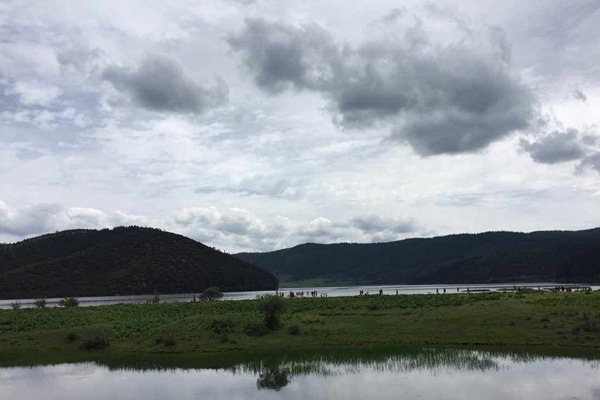 腾冲田野旅游攻略(腾冲田野旅游攻略一日游)