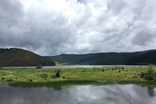 大理到泸沽湖旅游攻略(大理到泸沽湖旅游攻略路线)