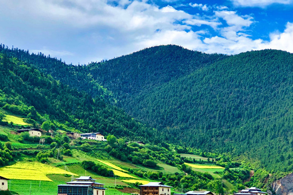 扬州到大理旅游攻略(扬州到大理旅游攻略路线)